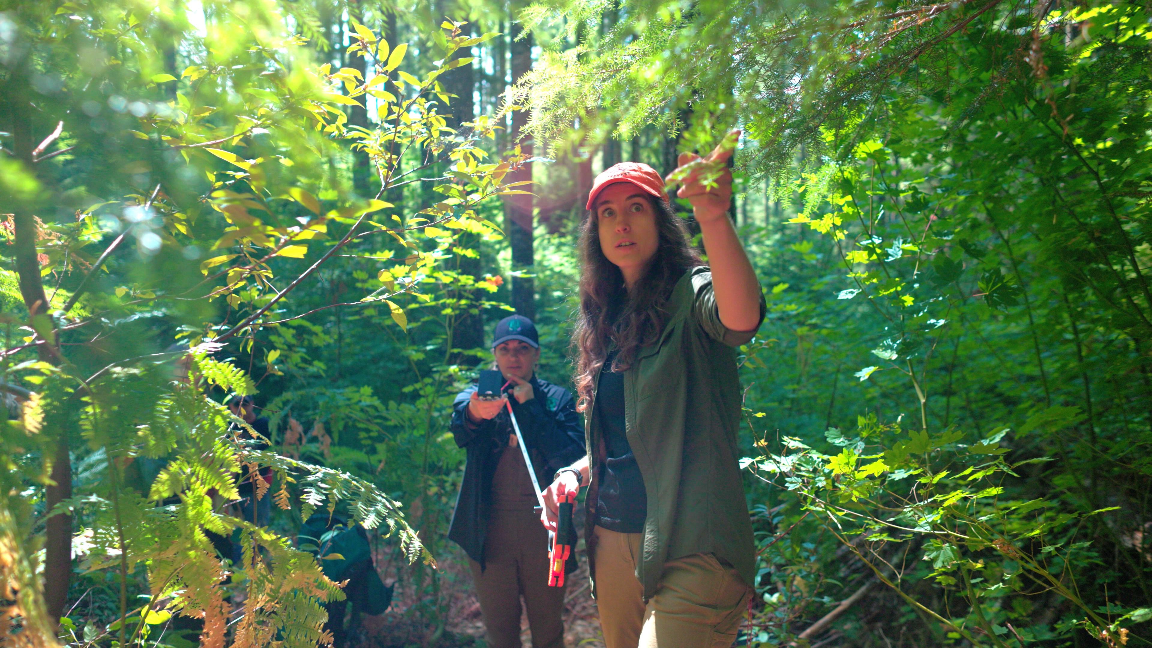 Two OSU researchers in the forest.